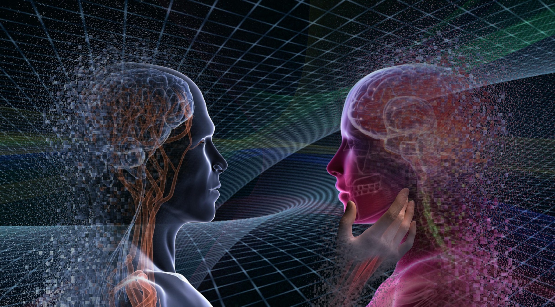 Brain